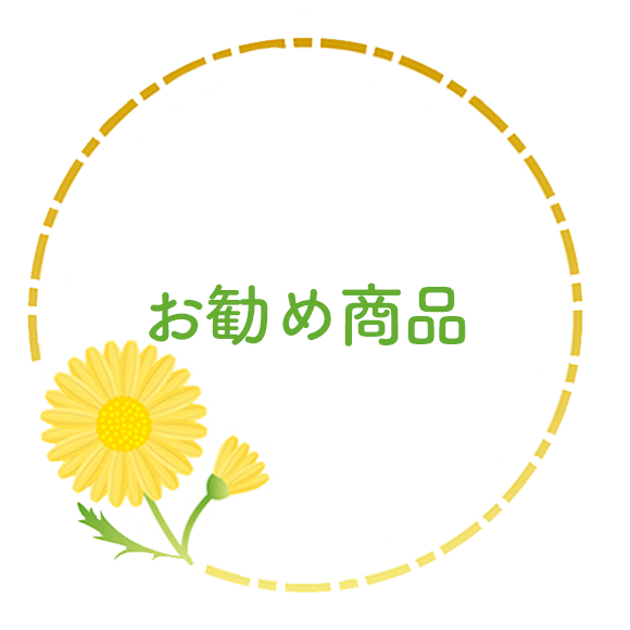 お勧め商品,春日部市下蛭田,豊春駅,調剤,医薬品販売,化粧品販売